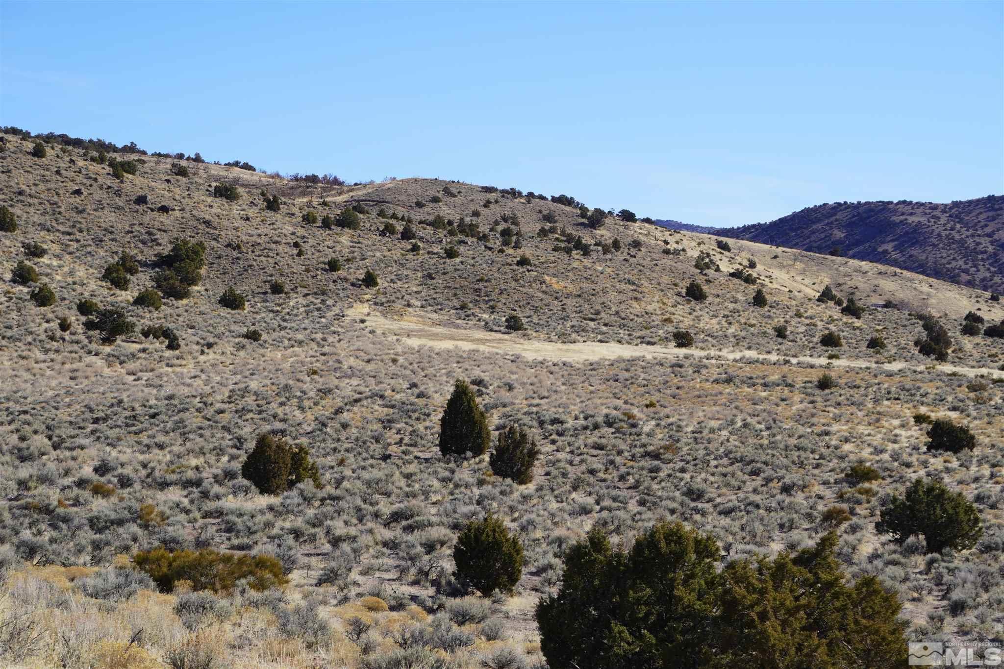 3000 Right Hand Canyon Road Reno, NV 89510 - Photo 9 of 12 Photo 9