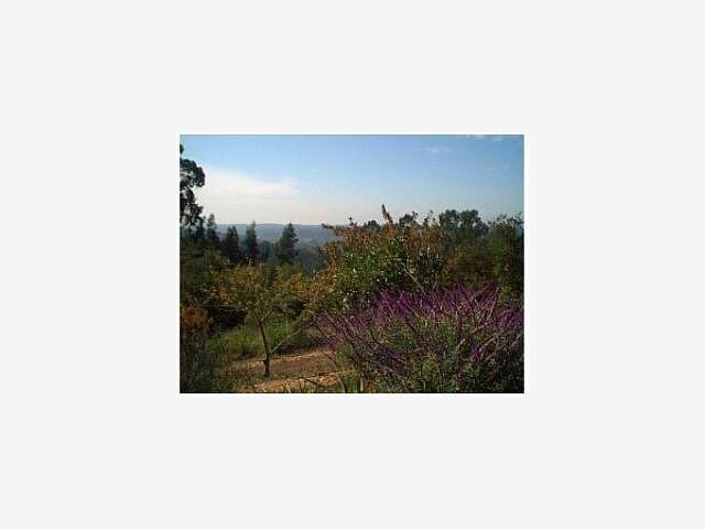 590 Caudill Road Watsonville, CA 95076 - Photo 6 of 6 Gallery Image 6