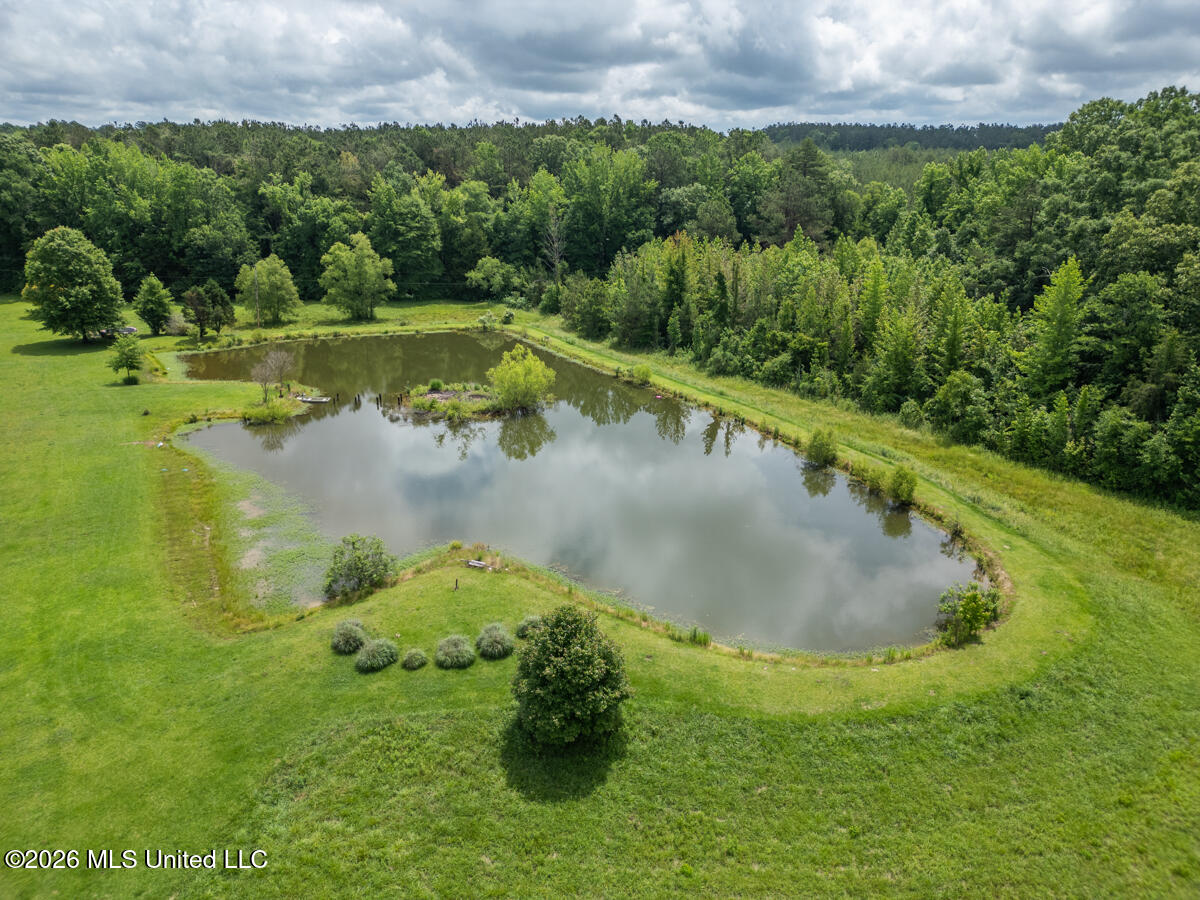 1529 Lower Milligan Springs Road Kilmichael, MS 39747 - Photo 40 of 46 DJI_0029