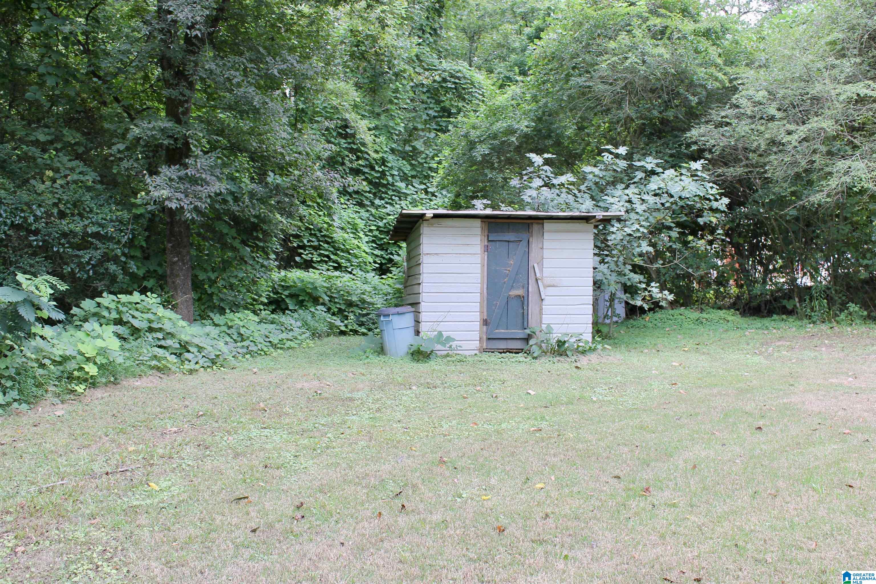 381 Old Ashville Road Ragland, AL 35131 - Photo 5 of 20