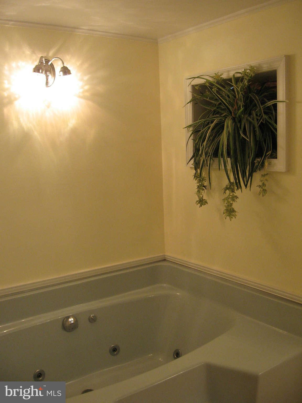 1860 Highland Ridge Road Berkeley Springs, WV 25411 - Photo 25 of 30 Bath