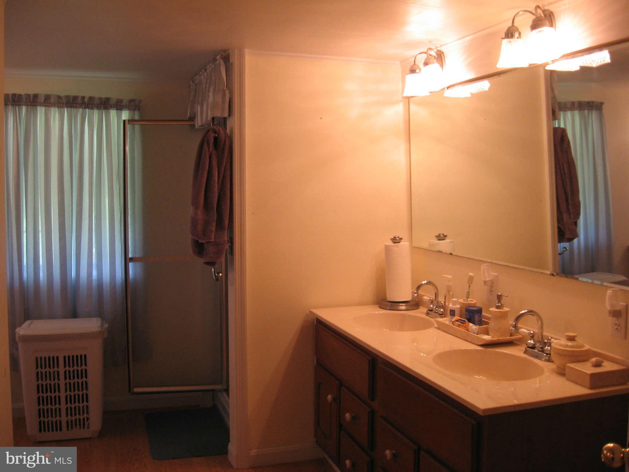 1860 Highland Ridge Road Berkeley Springs, WV 25411 - Photo 26 of 30 Bath