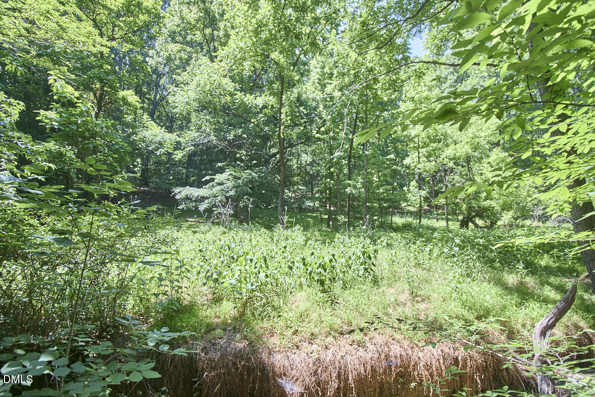 4204 Kerley Road Durham, NC 27705 - Photo 29 of 34 a view of a lush green forest