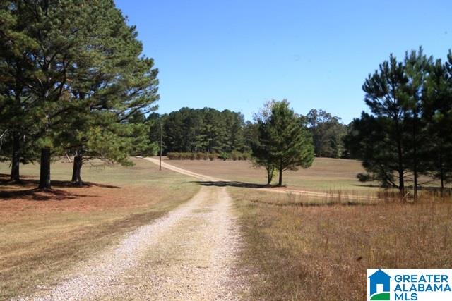 0 County Road 928, Unit 19 Delta, AL 36258 - Photo 12 of 43
