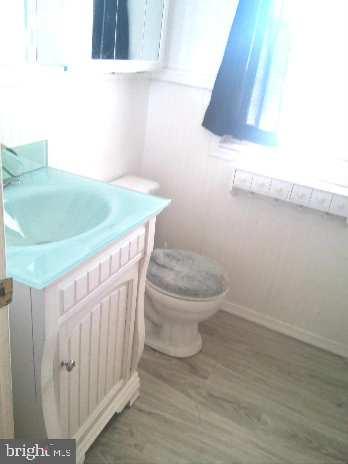 4700 Vancouver Road Baltimore, MD 21229 - Photo 23 of 28 Bath (Master)