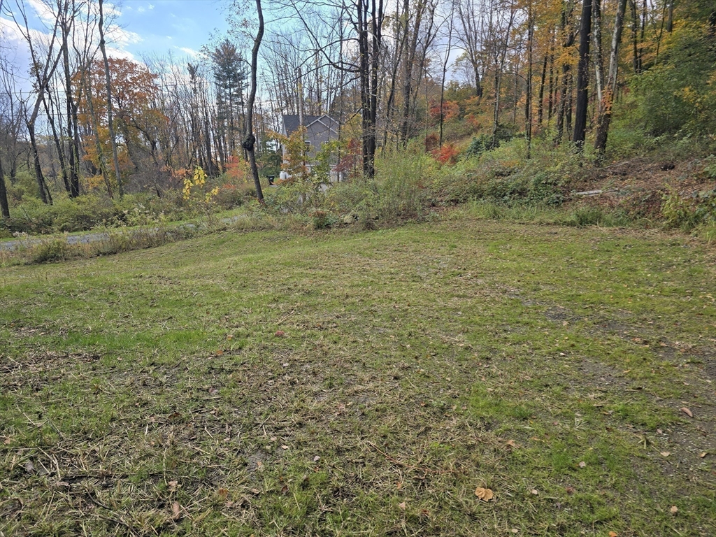 73 Dudley Hill Road Dudley, MA 01571 - Photo 7 of 33 a view of a yard with trees