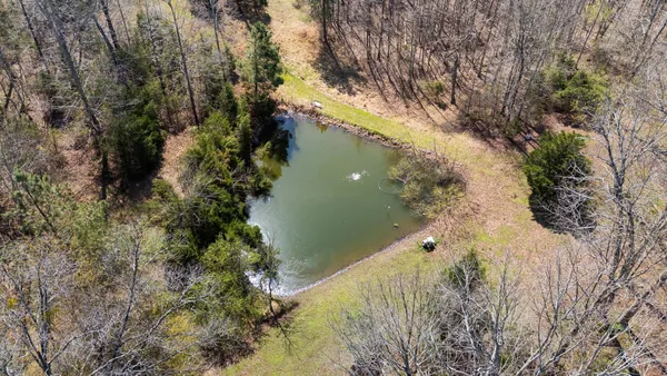 a view of backyard of house