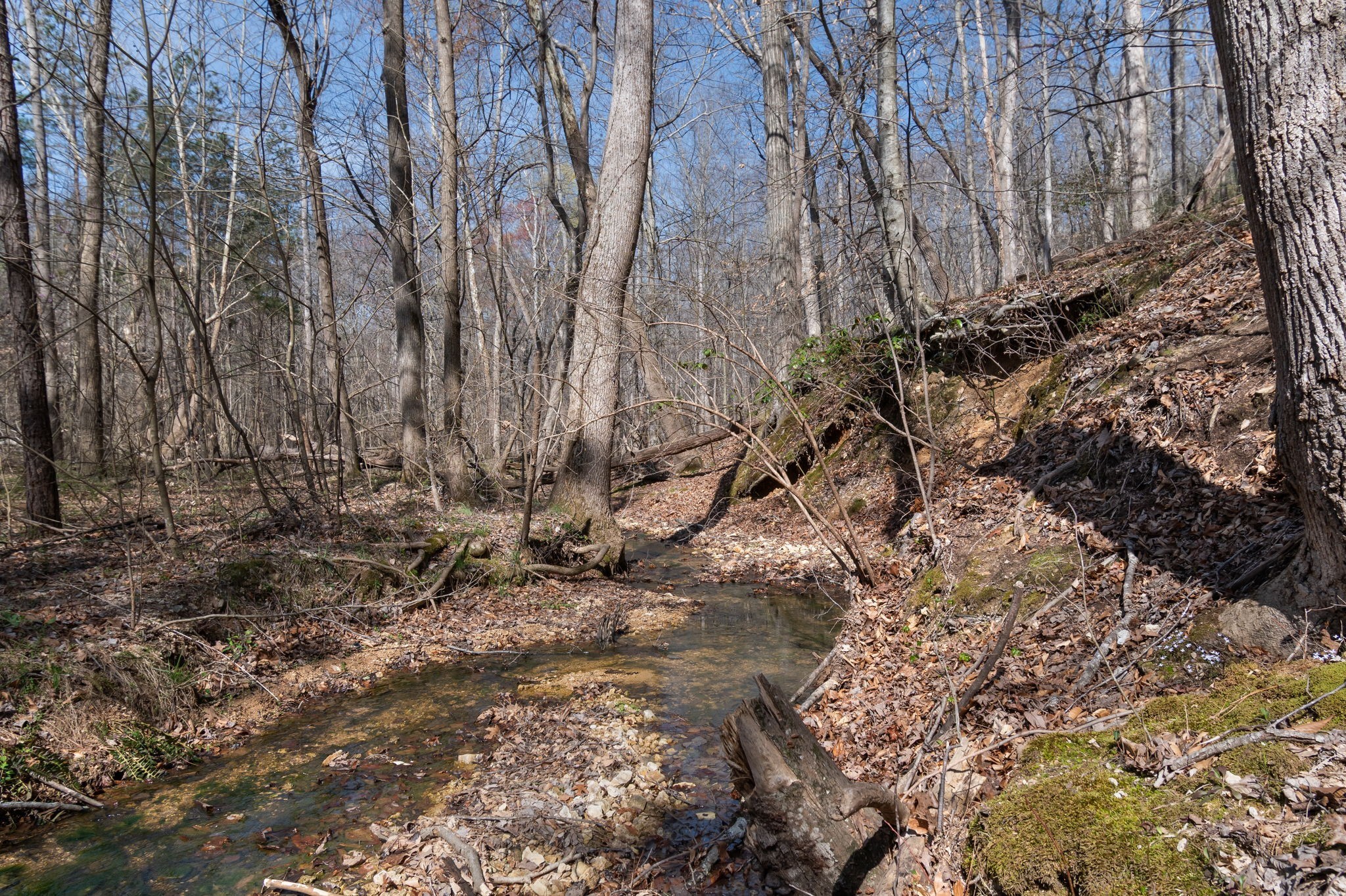 1300 New She Boss Road Duck River, TN 38454 - Photo 20 of 56