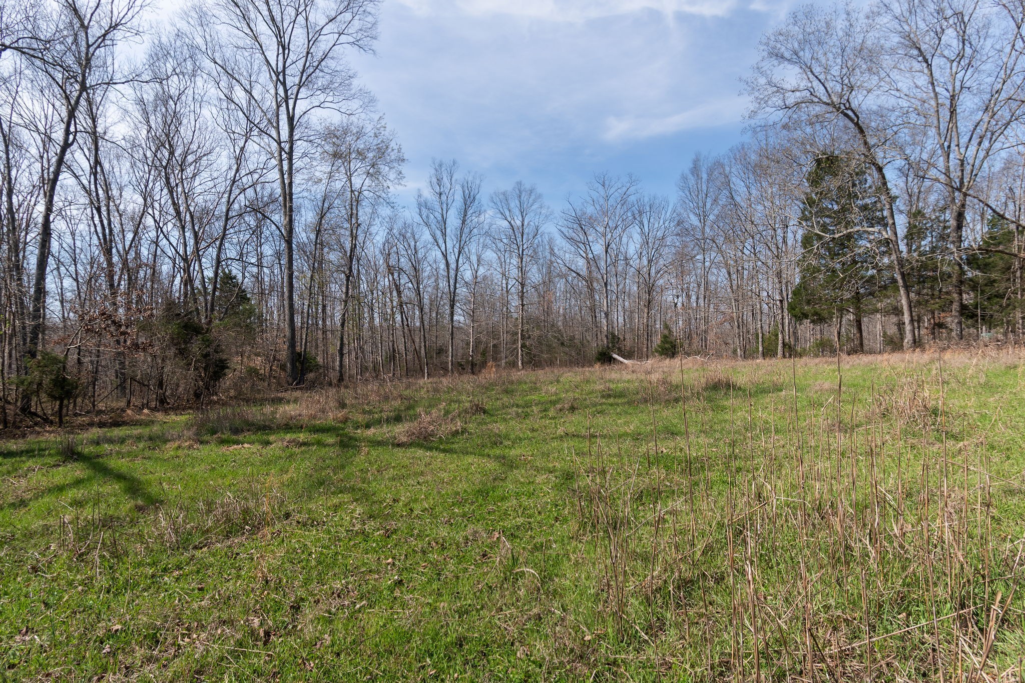 1300 New She Boss Road Duck River, TN 38454 - Photo 21 of 56 a view of backyard of house
