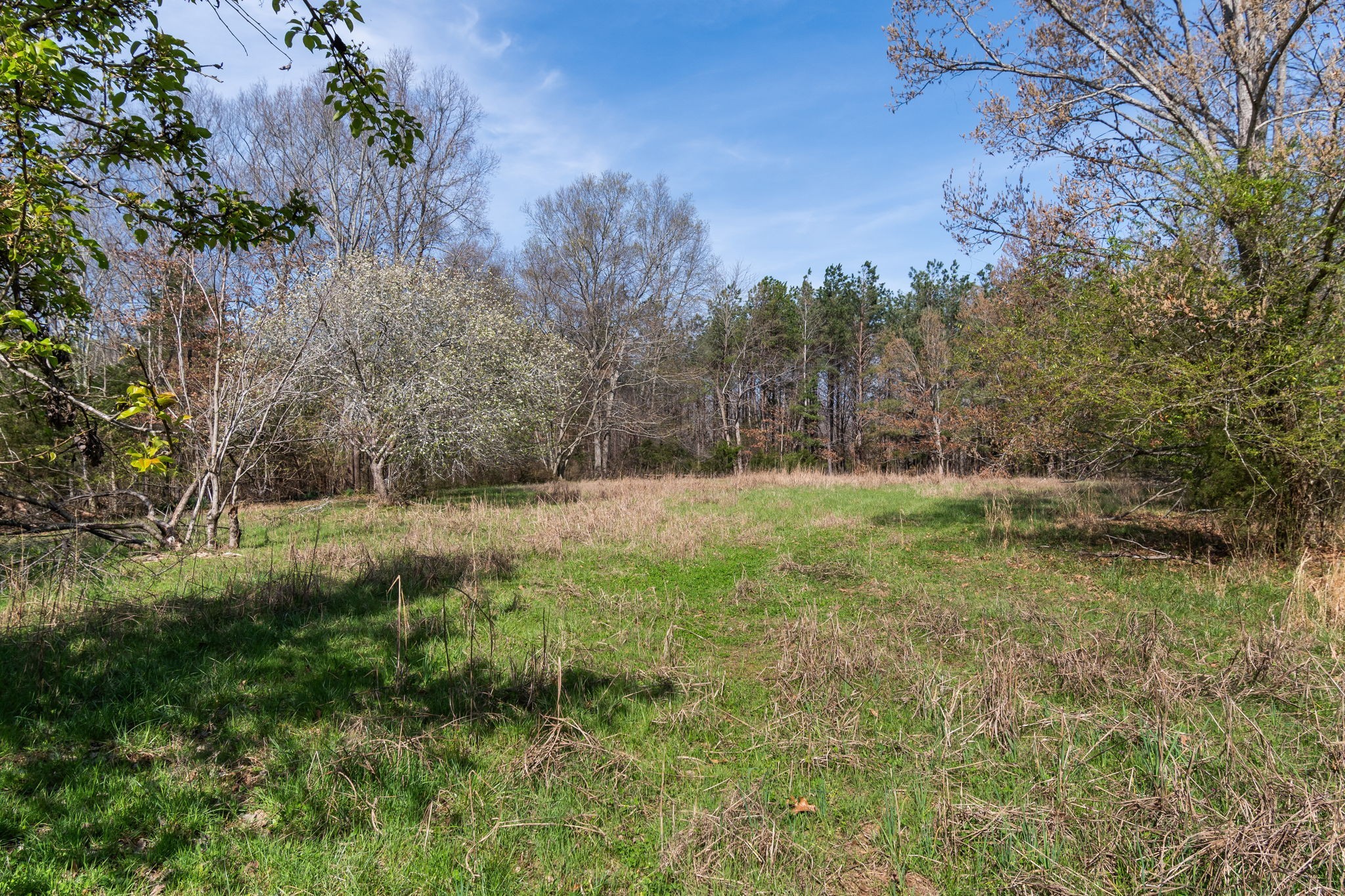 1300 New She Boss Road Duck River, TN 38454 - Photo 25 of 56 a view of outdoor space and yard