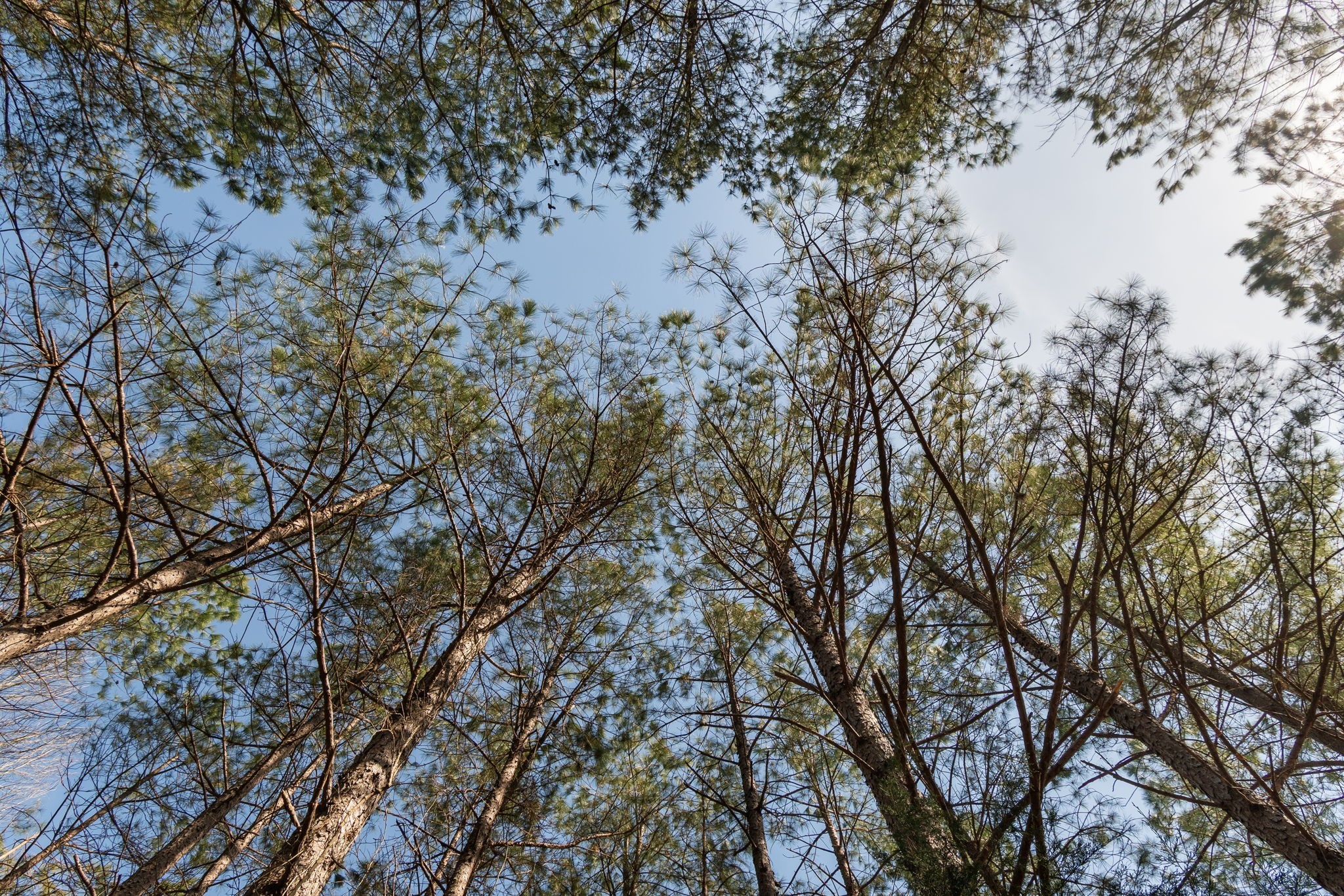 1300 New She Boss Road Duck River, TN 38454 - Photo 29 of 56 a view of snow on a field