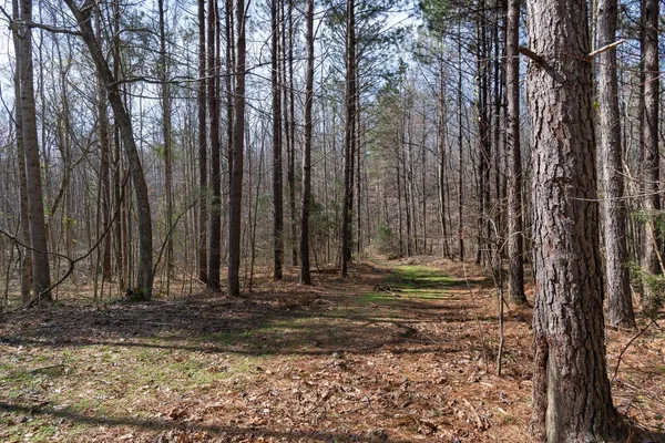 a view of outdoor space with trees