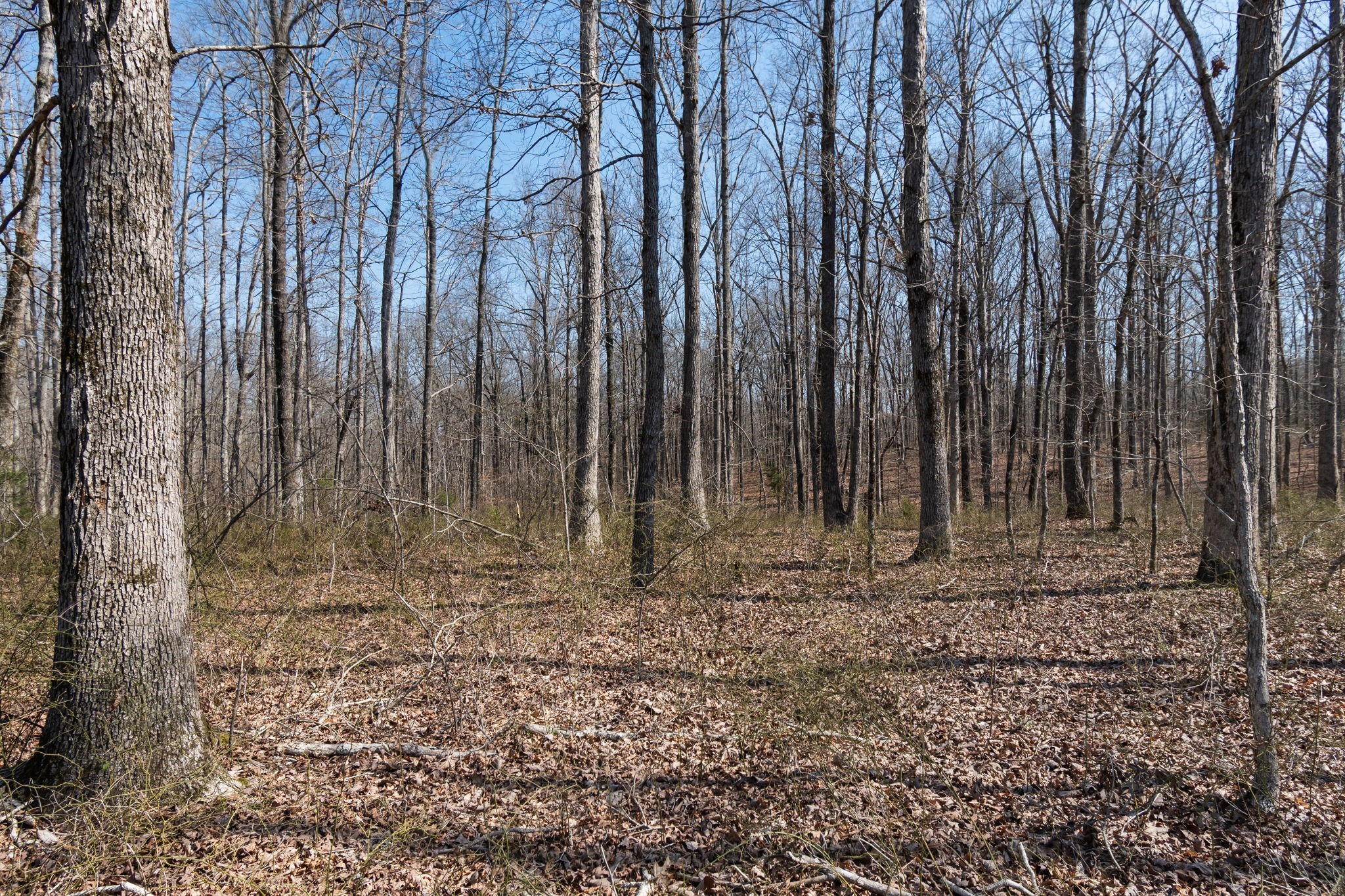 1300 New She Boss Road Duck River, TN 38454 - Photo 38 of 56 a view of outdoor space with stainless steel appliances