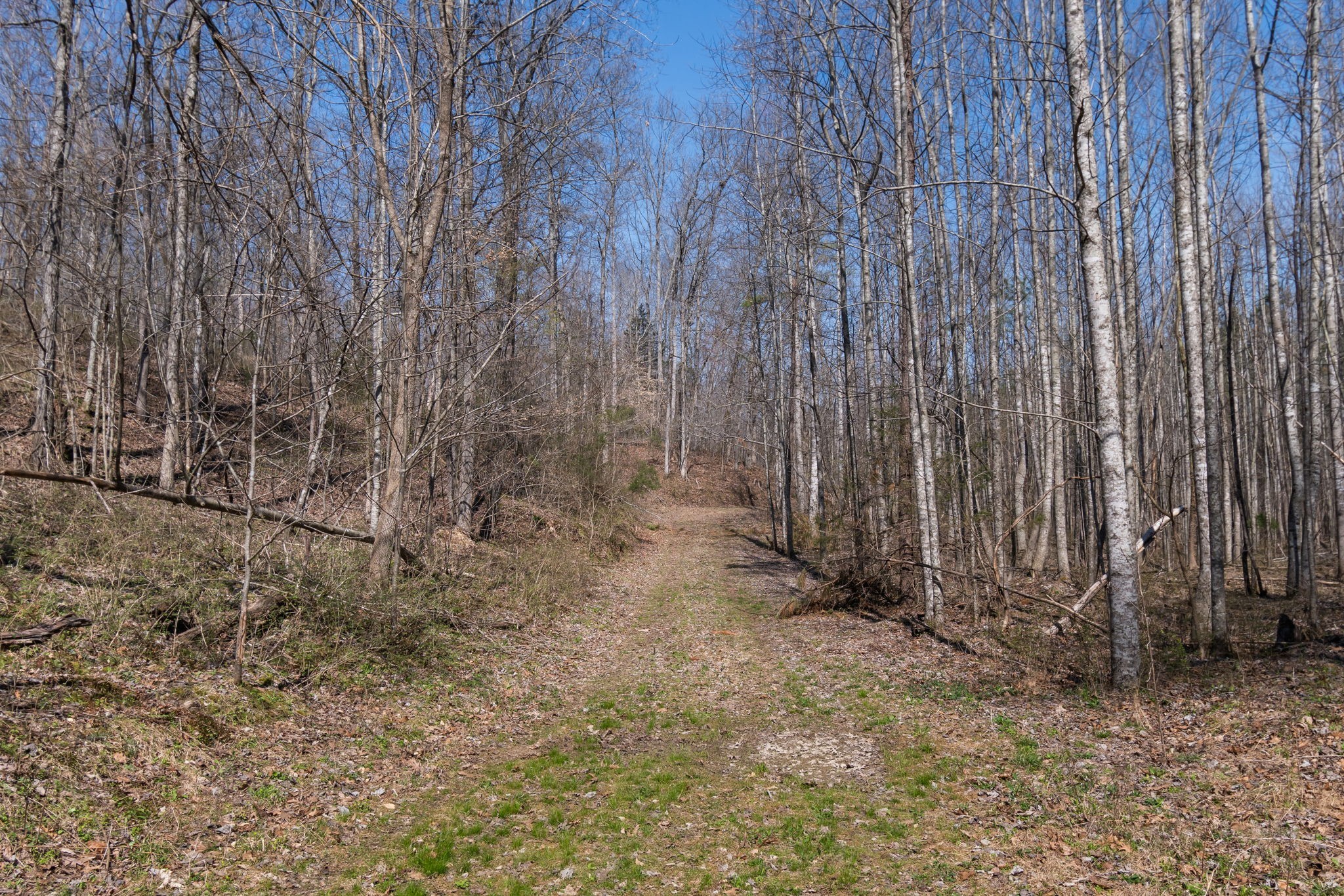 1300 New She Boss Road Duck River, TN 38454 - Photo 39 of 56 a view of a backyard with wooden fence