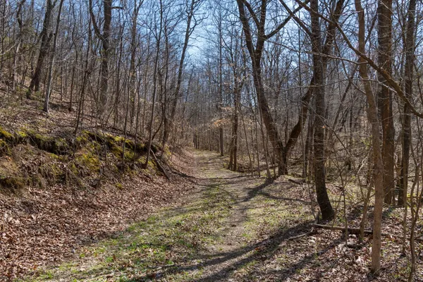 a view of a dry field
