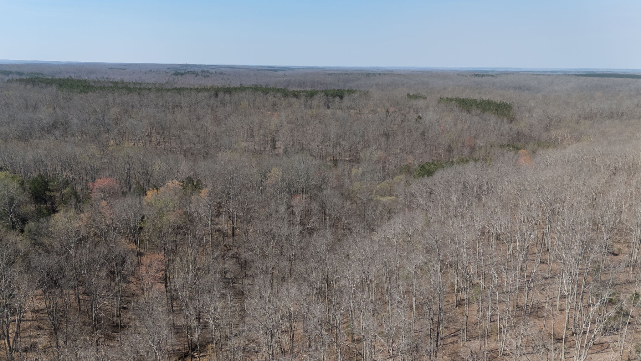 1300 New She Boss Road Duck River, TN 38454 - Photo 46 of 56 a view of a dry yard with wooden floor