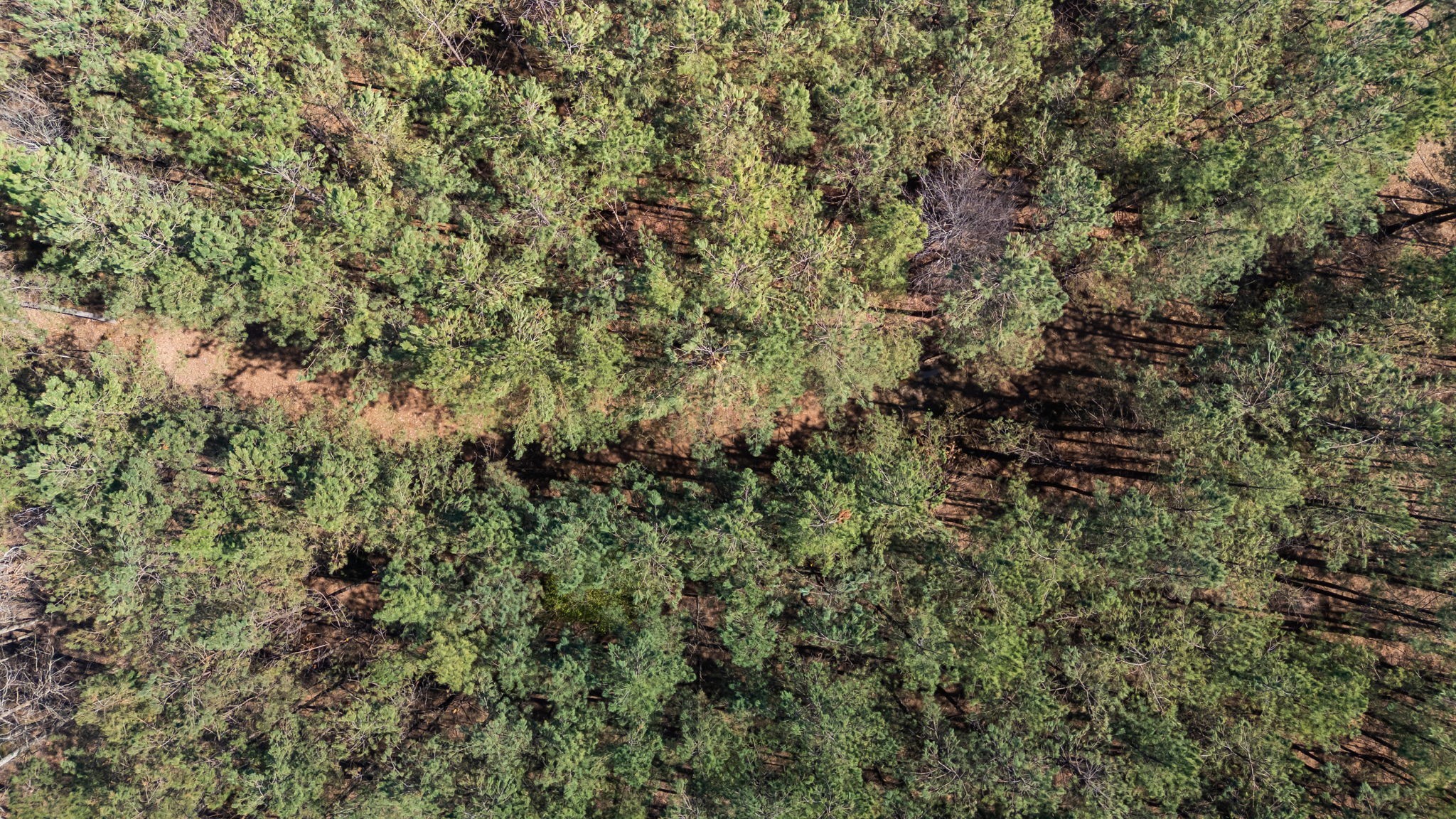 1300 New She Boss Road Duck River, TN 38454 - Photo 51 of 56