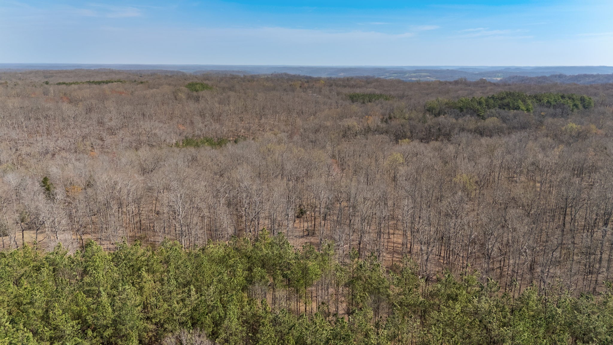 1300 New She Boss Road Duck River, TN 38454 - Photo 53 of 56 a view of an outdoor space and a mountain view