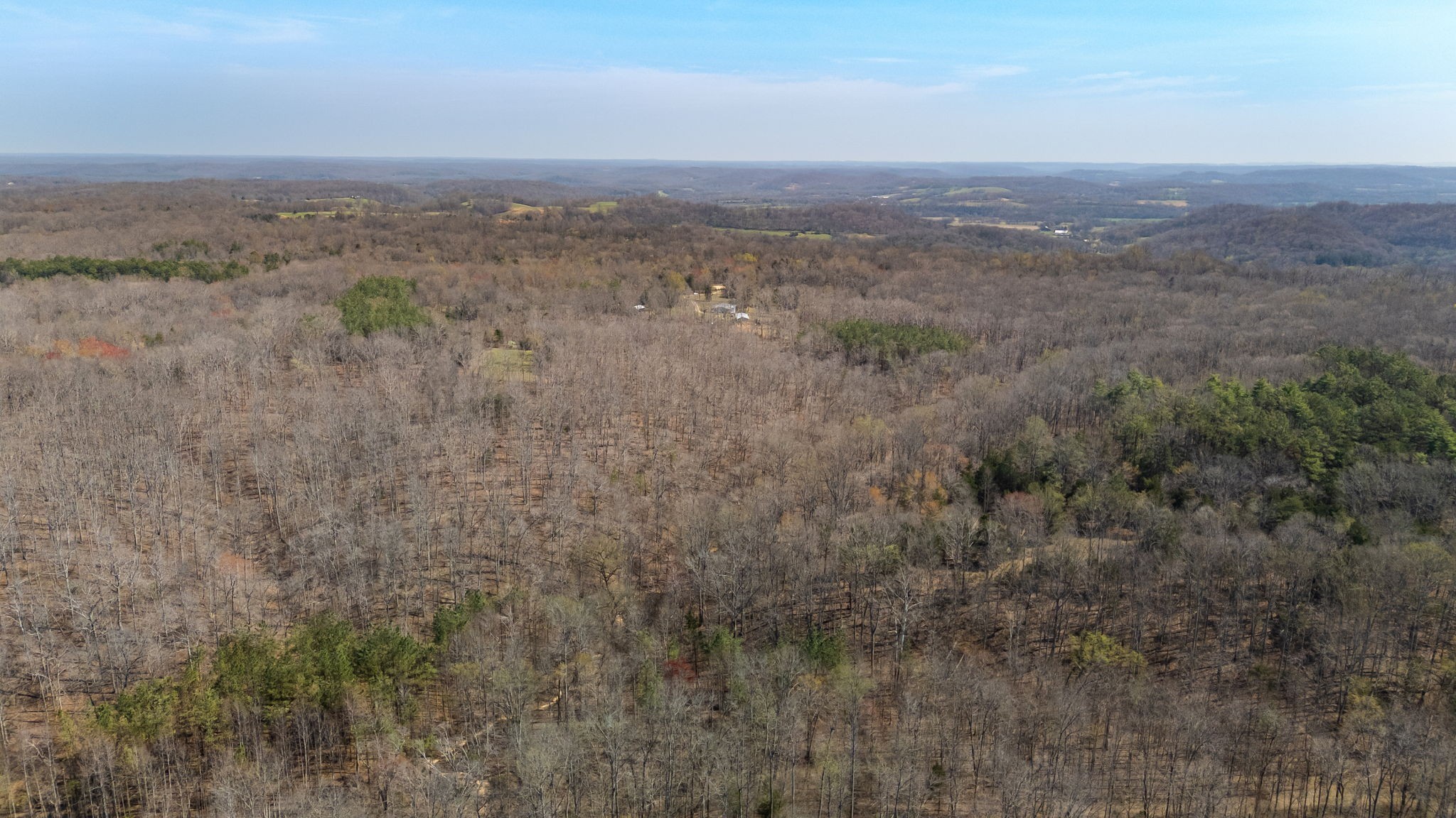 1300 New She Boss Road Duck River, TN 38454 - Photo 54 of 56 a view of a dry yard