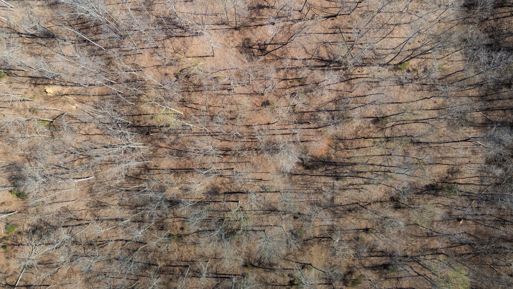 1300 New She Boss Road Duck River, TN 38454 - Photo 55 of 56 a close up of a white marble wall