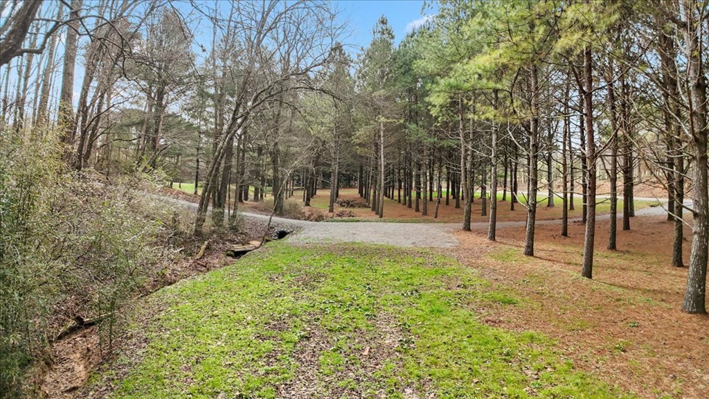 2671 Knight Road Ellijay, GA 30540 - Photo 6 of 30 Gallery Image 6