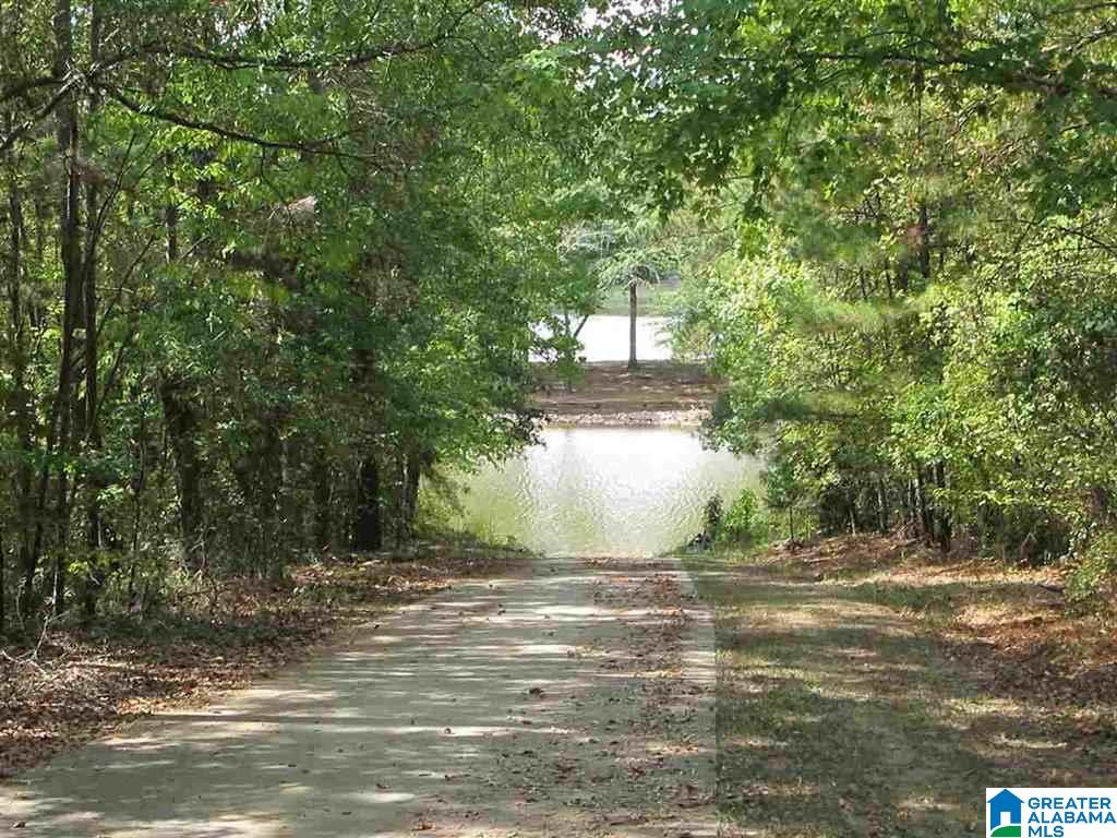 Lot 7 Poplar Place, Unit 7 Wedowee, AL 36278 - Photo 4 of 5