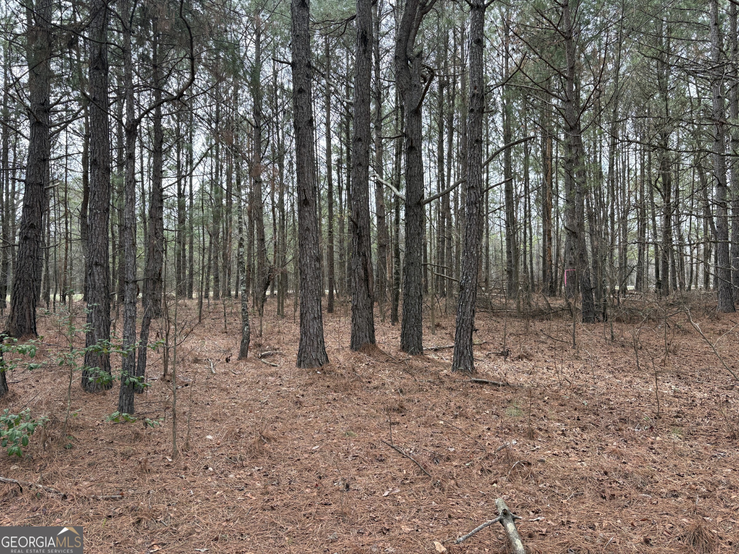 L5 West Quaker Road Keysville, GA 30816 - Photo 14 of 24