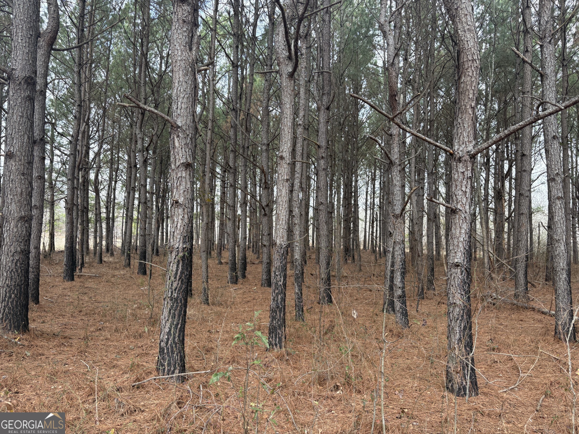 L5 West Quaker Road Keysville, GA 30816 - Photo 17 of 24