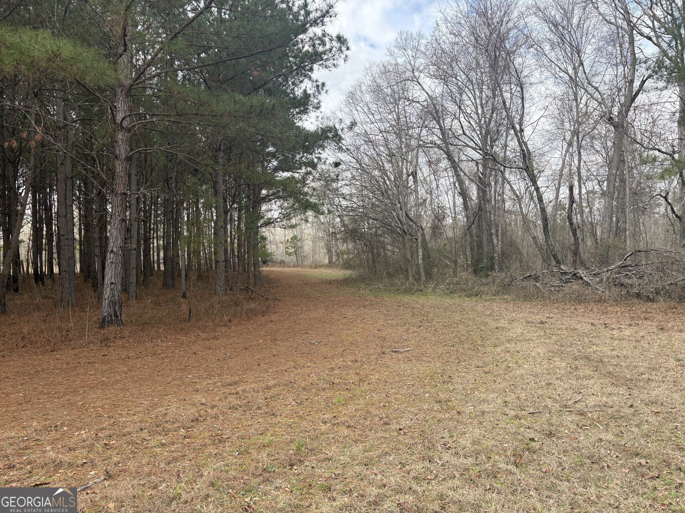 L5 West Quaker Road Keysville, GA 30816 - Photo 18 of 24