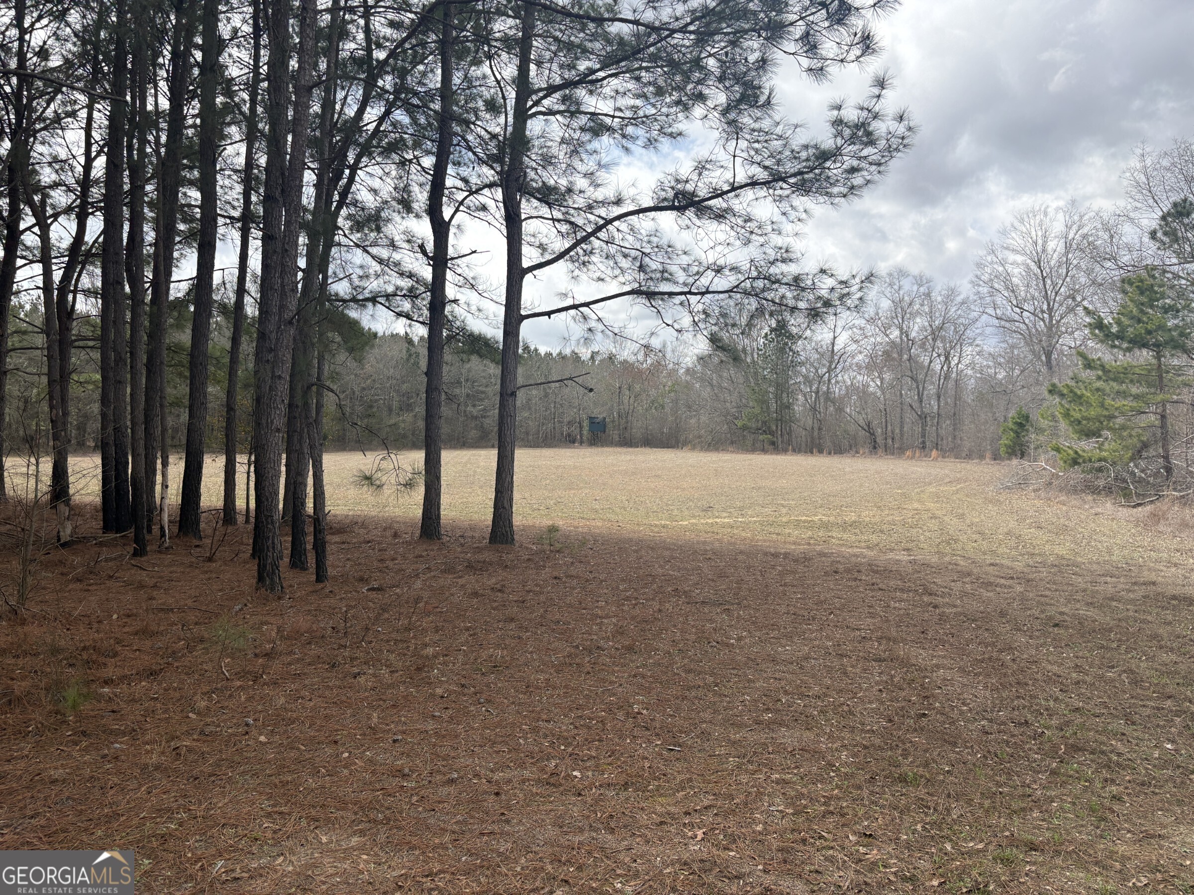 L5 West Quaker Road Keysville, GA 30816 - Photo 19 of 24