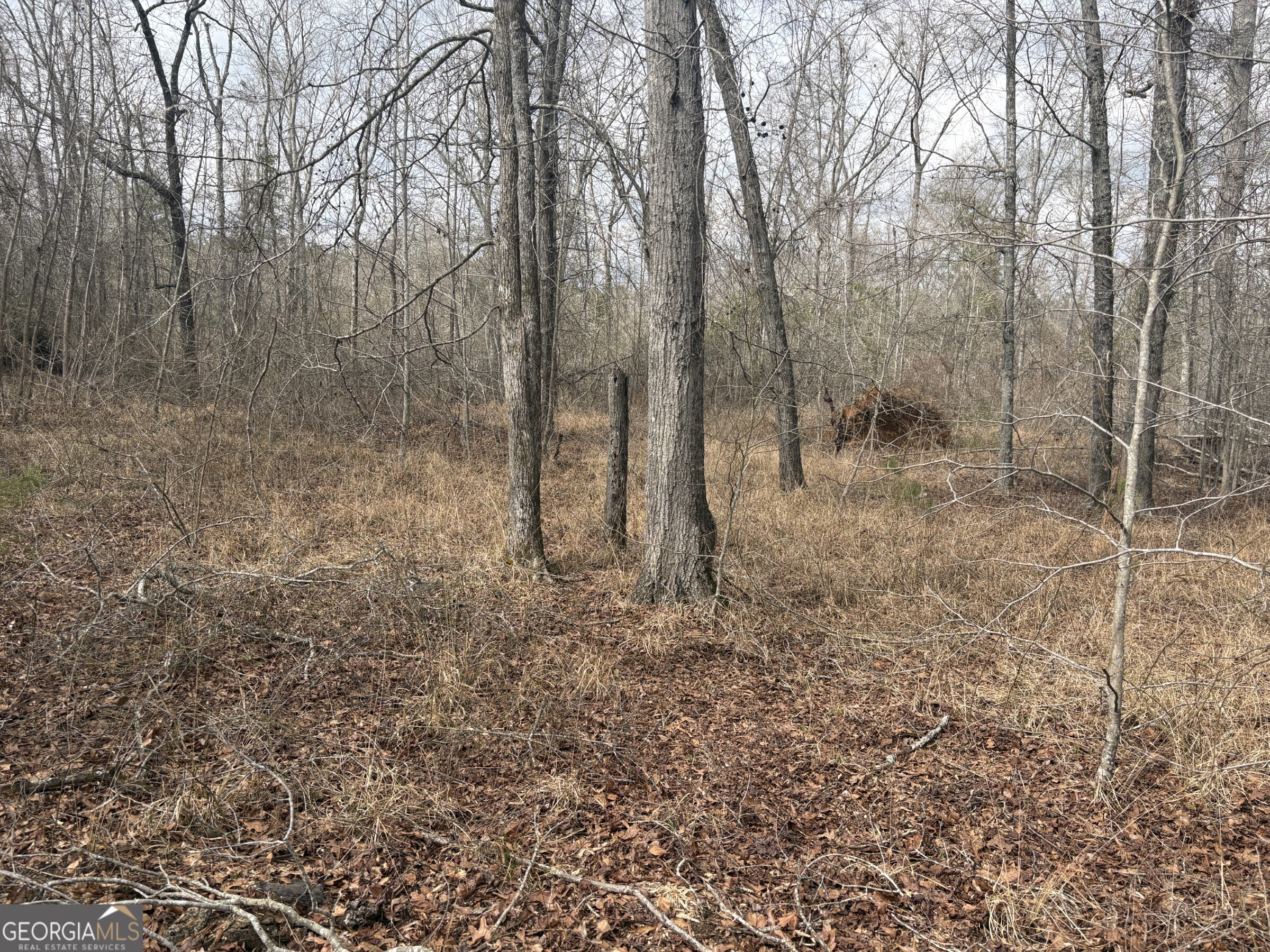 L5 West Quaker Road Keysville, GA 30816 - Photo 21 of 24