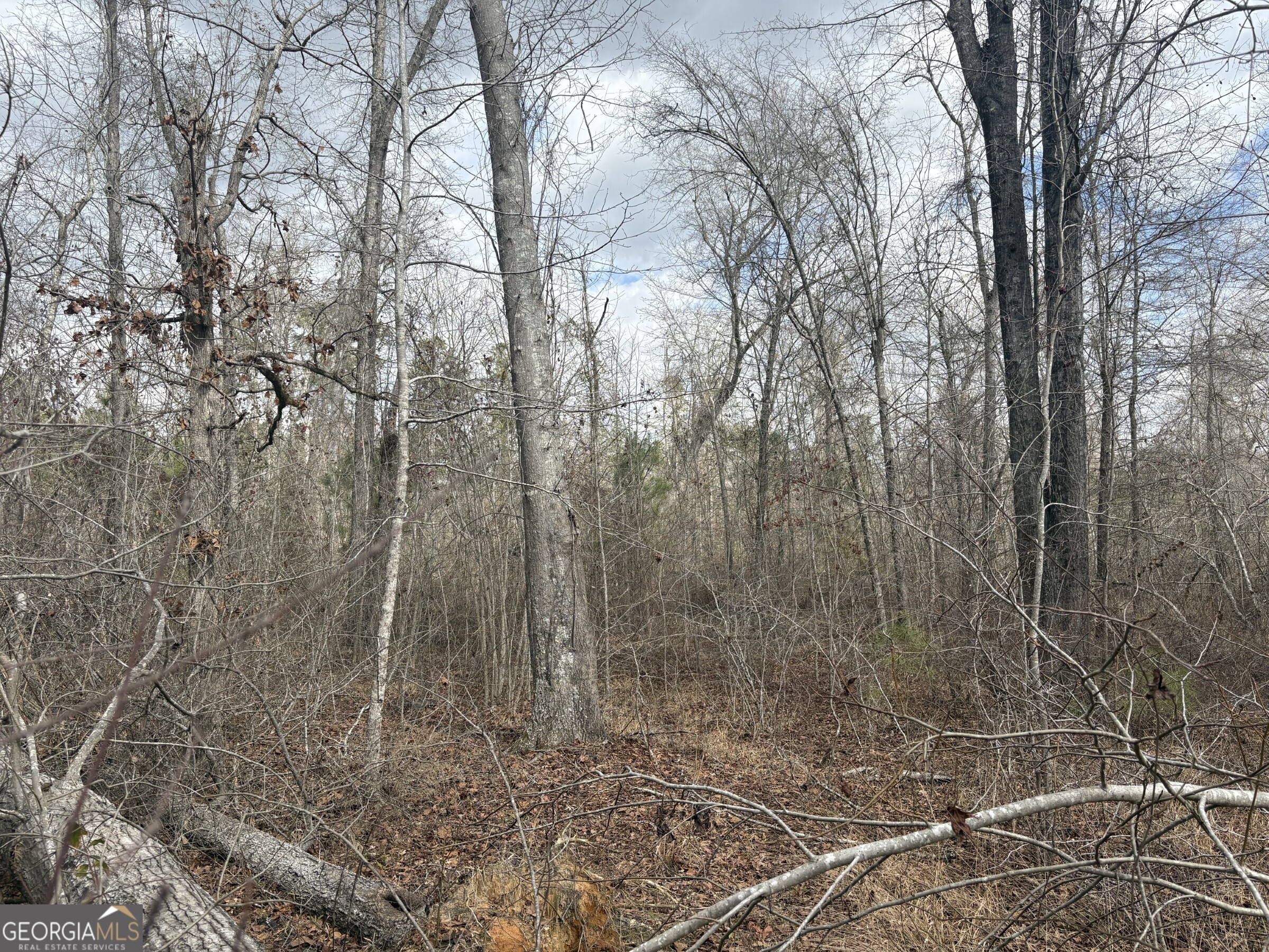 L5 West Quaker Road Keysville, GA 30816 - Photo 22 of 24