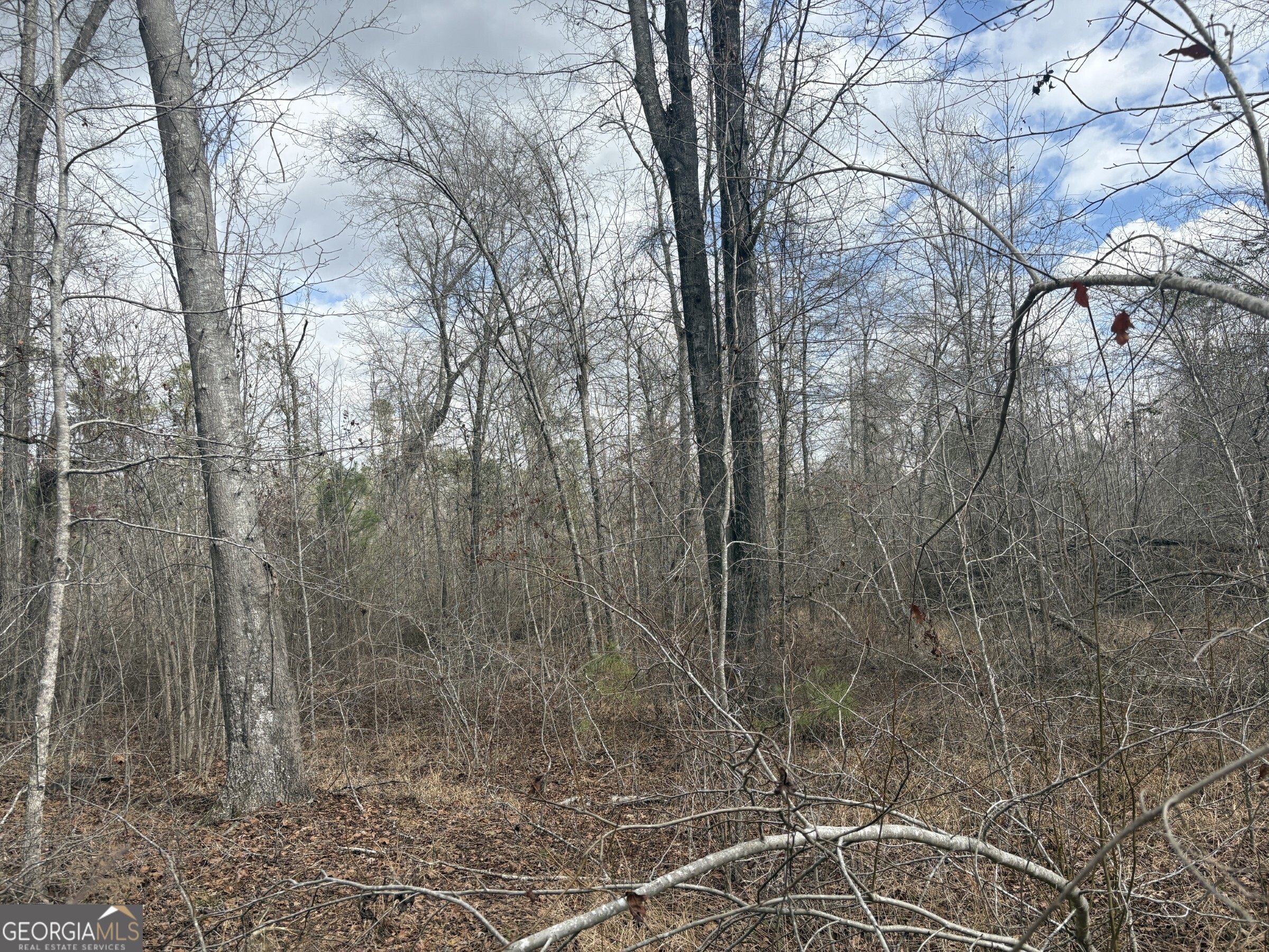 L5 West Quaker Road Keysville, GA 30816 - Photo 23 of 24