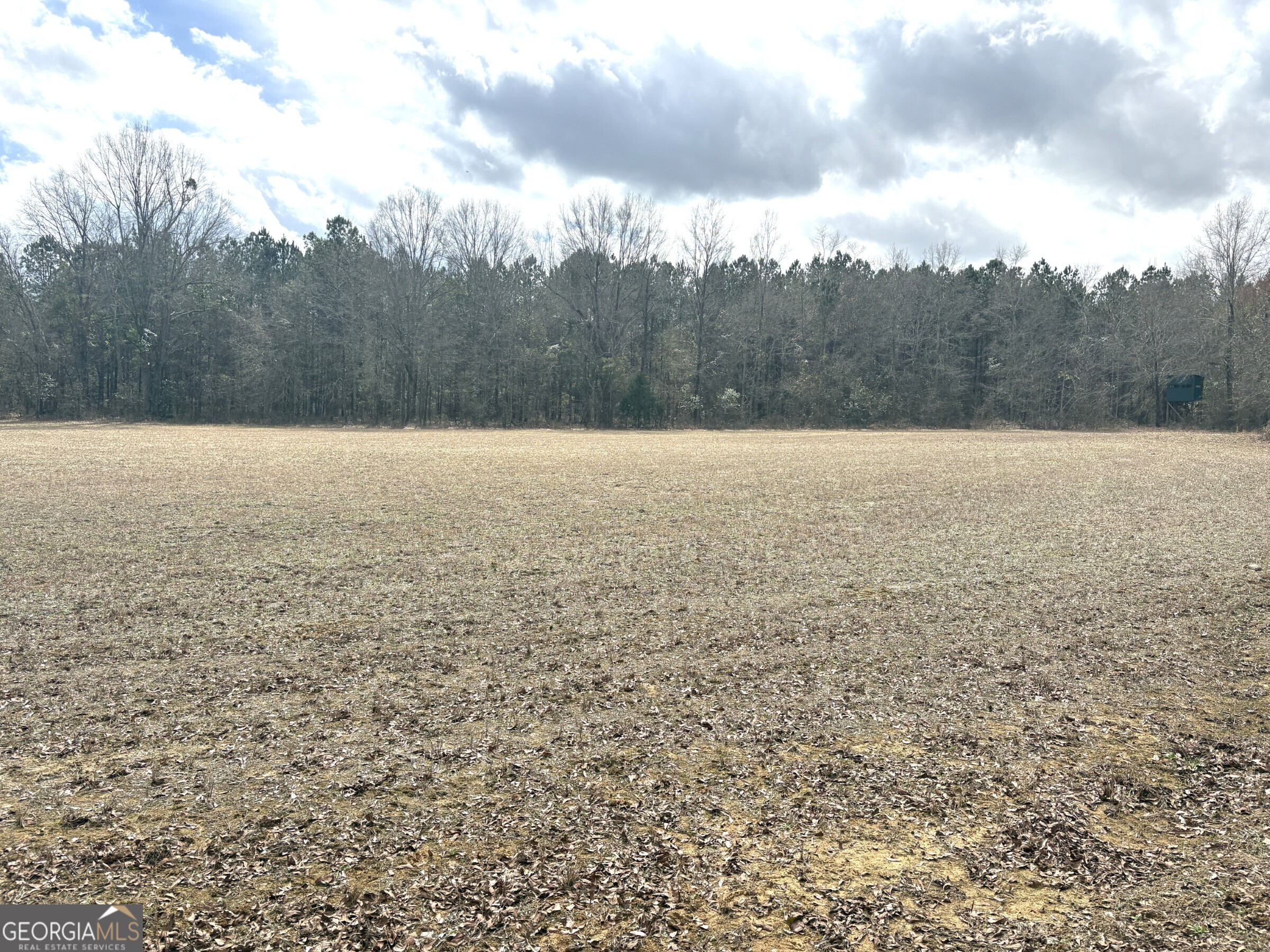 L5 West Quaker Road Keysville, GA 30816 - Photo 24 of 24