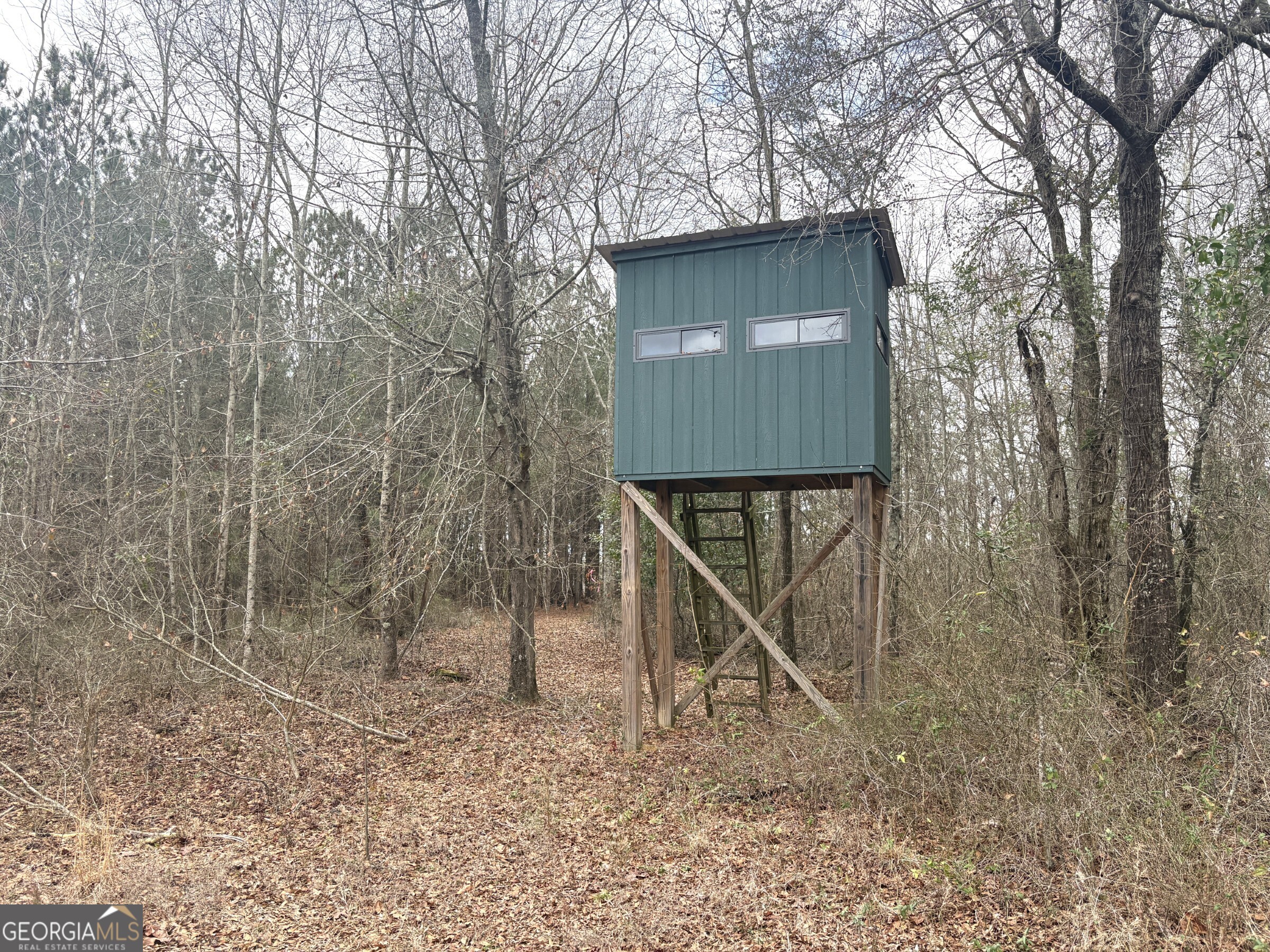 L5 West Quaker Road Keysville, GA 30816 - Photo 5 of 24