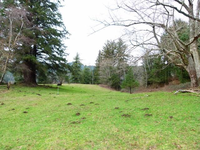 Tl#1008 Bel Air Road Cloverdale, OR 97112 - Photo 6 of 20 P1080336