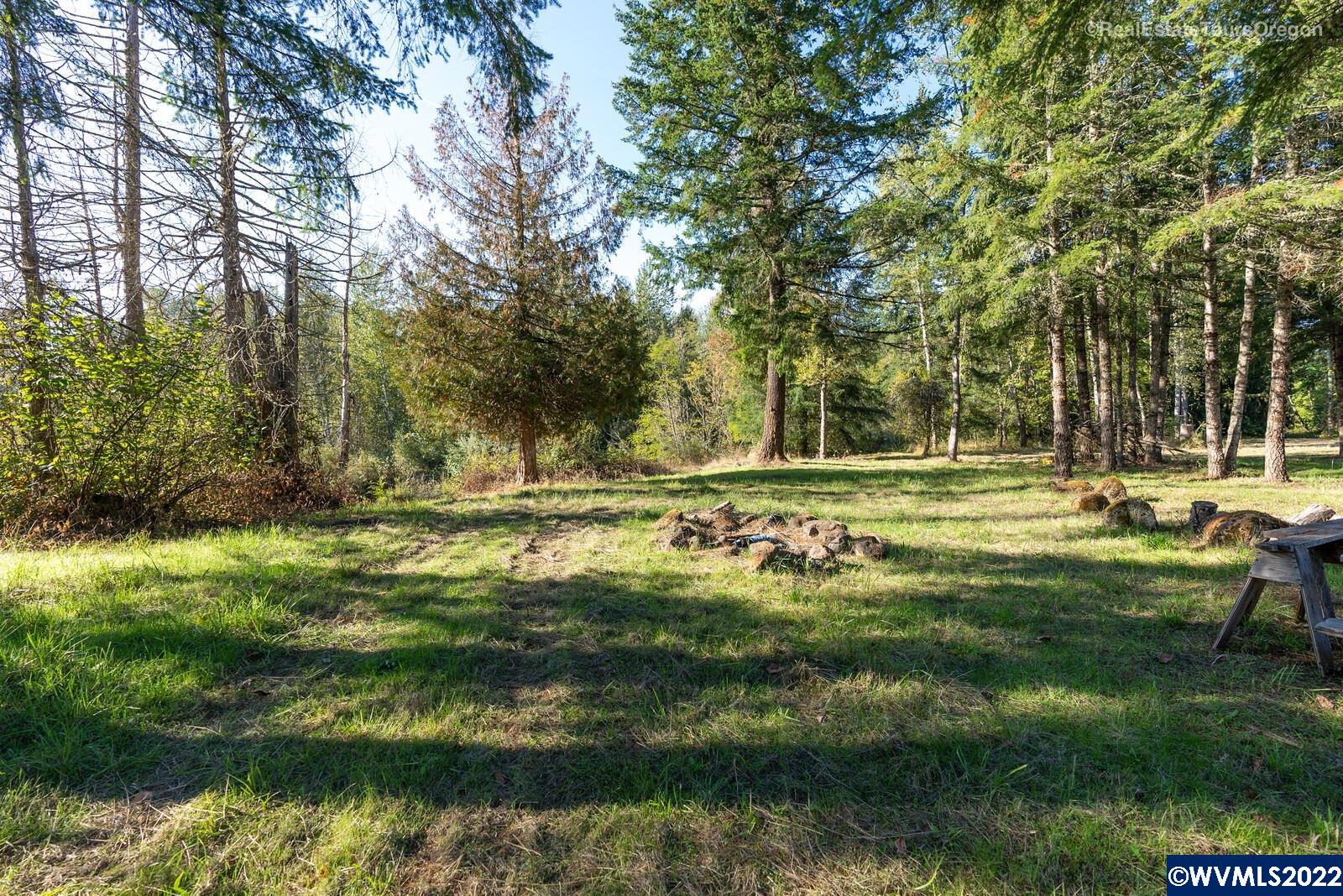 0 South Dickey Prairie Road Molalla, OR 97038 - Photo 5 of 38 Gallery Image 5