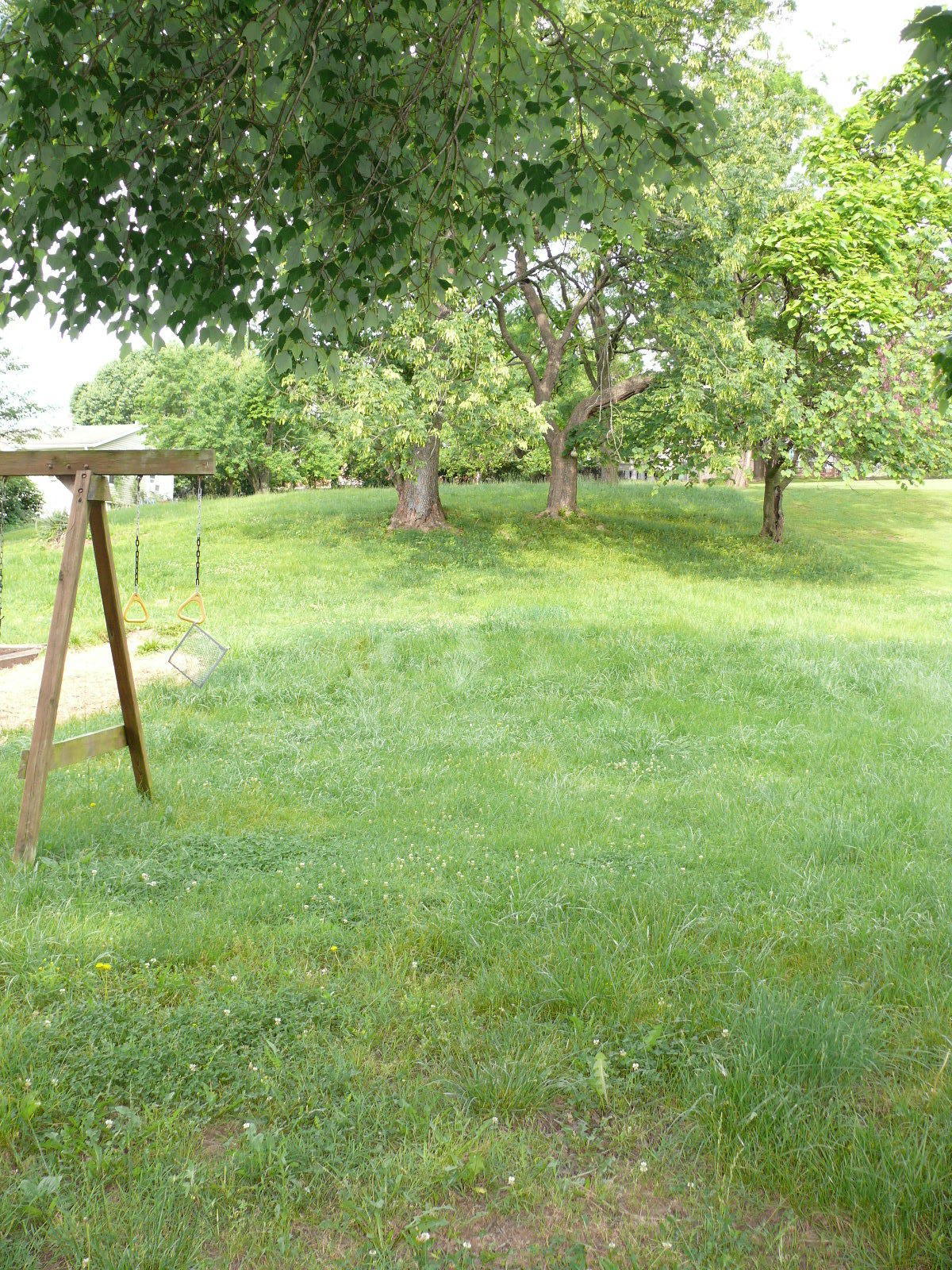 625 Kessler Mill Road Salem, VA 24153 - Photo 28 of 31 P1110106