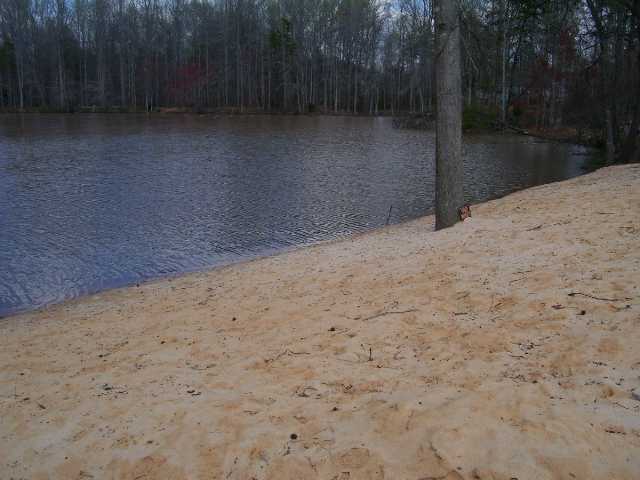 322 Fisher Lake Road, Unit LYMAN Lyman, SC 29365 - Photo 4 of 5 Gallery Image 4