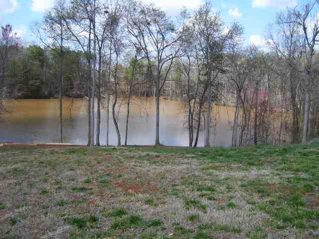 322 Fisher Lake Road, Unit LYMAN Lyman, SC 29365 - Photo 5 of 5 Gallery Image 5
