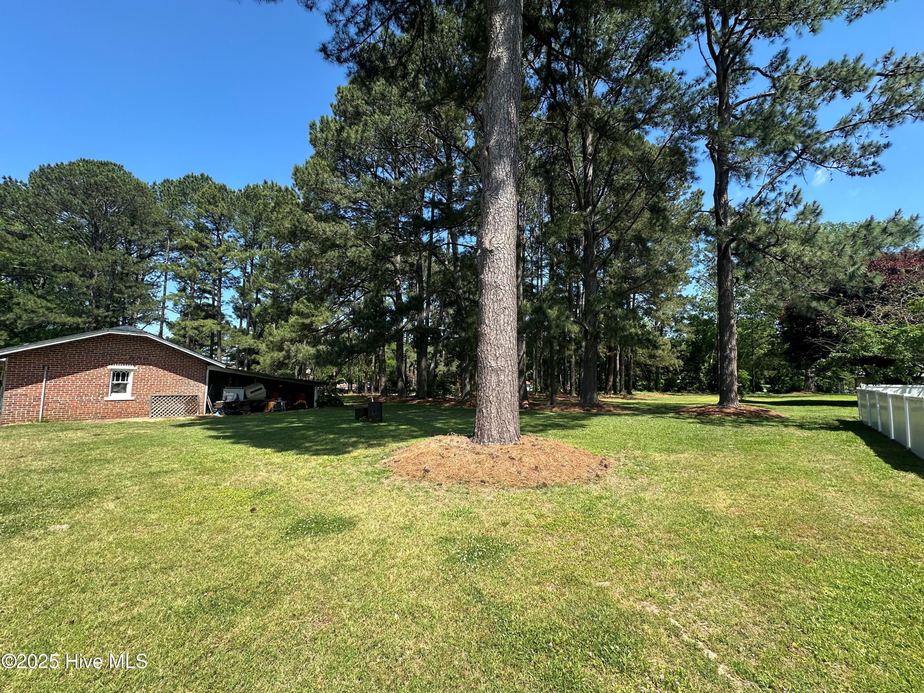 206 Main Street Severn, NC 27862 - Photo 28 of 30 yard