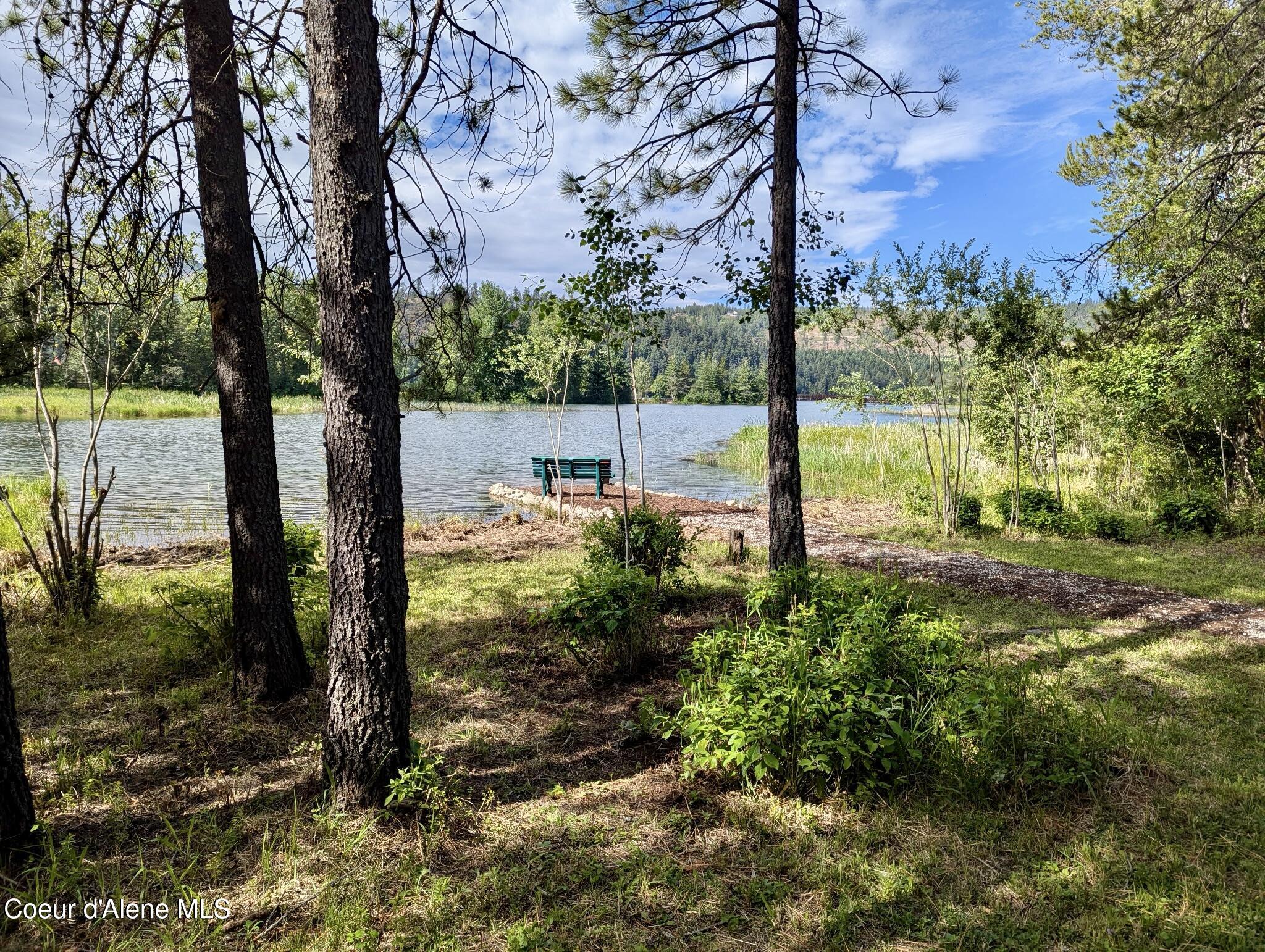891 Ames Way Dover, ID 83825 - Photo 51 of 66 53. Beach looking west thru trees