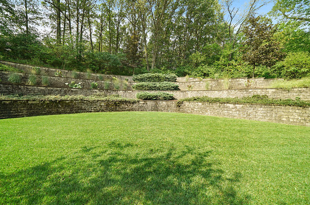9600 Pacific Court Burr Ridge, IL 60527 - Photo 50 of 58 a view of yard with green space