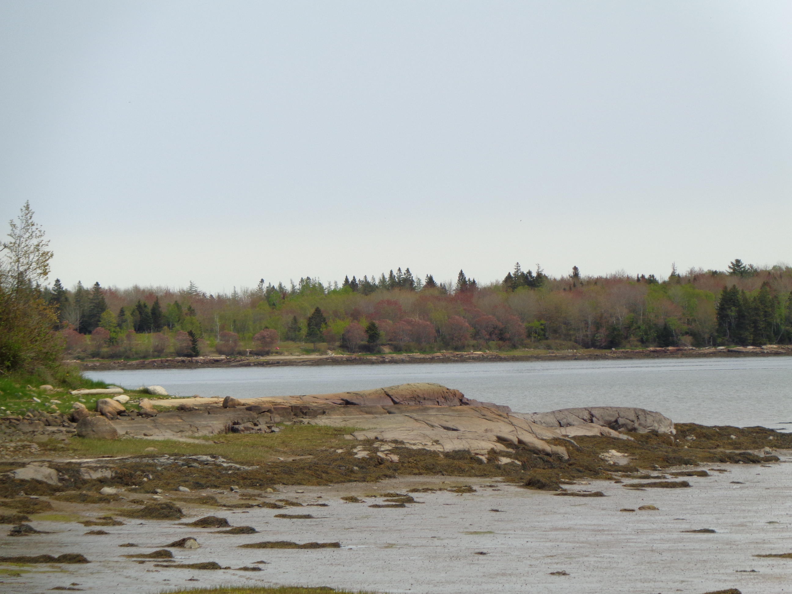 Lot 14-5 Pineo Point Road Harrington, ME 04643 - Photo 6 of 34 DSC03097