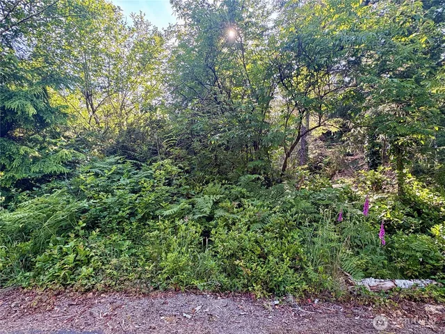 $29,900 | 285-xx Z Street, Ocean Park, WA 98640