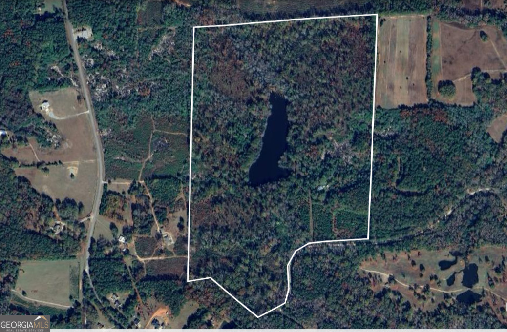 481 Turner Road Concord, GA 30206 - Photo 2 of 49