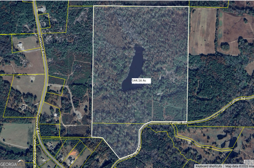 481 Turner Road Concord, GA 30206 - Photo 4 of 49
