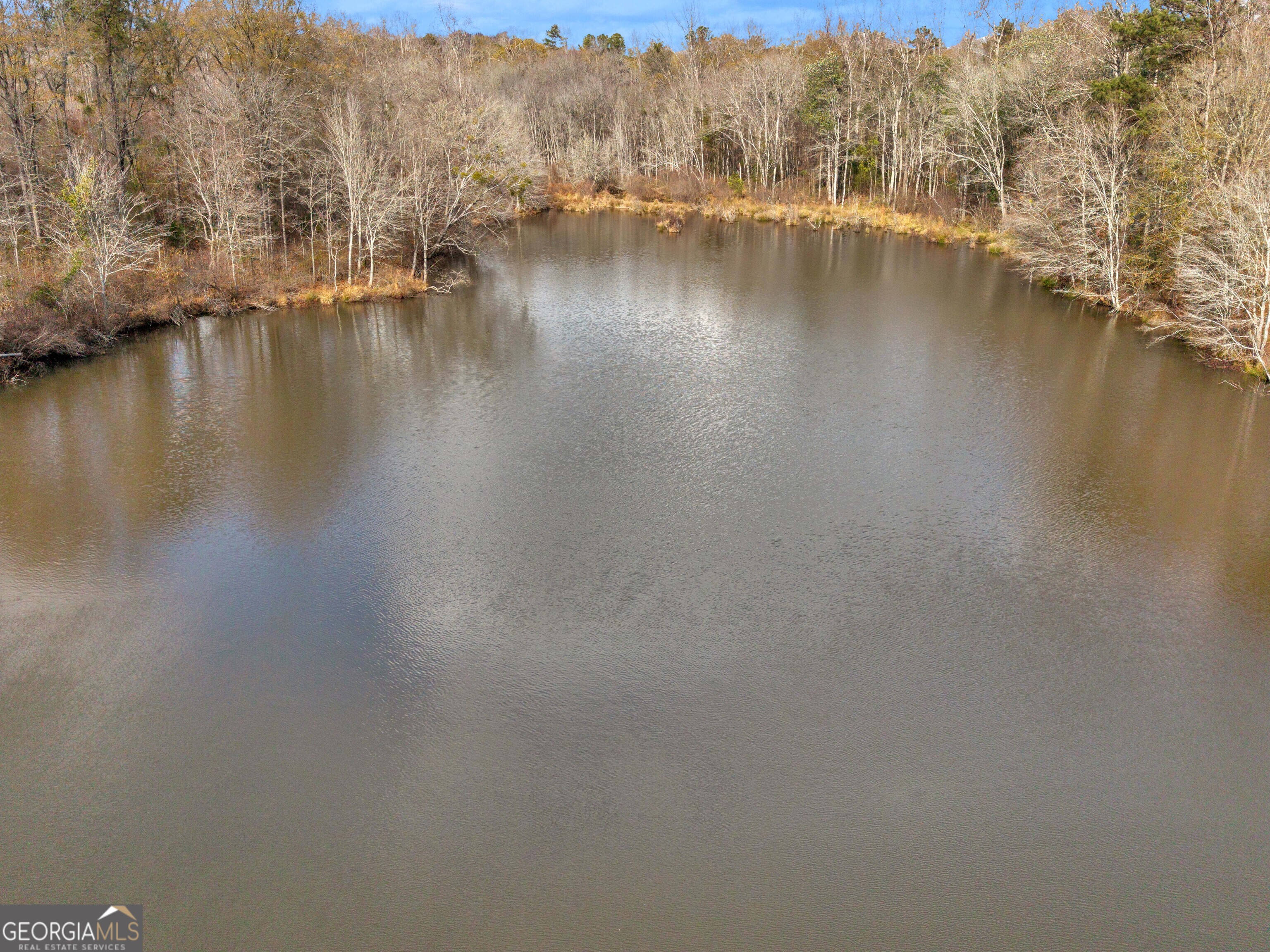 481 Turner Road Concord, GA 30206 - Photo 5 of 49