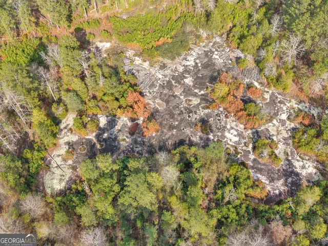 $1,295,000 | 481 Turner Road, Concord, GA 30206