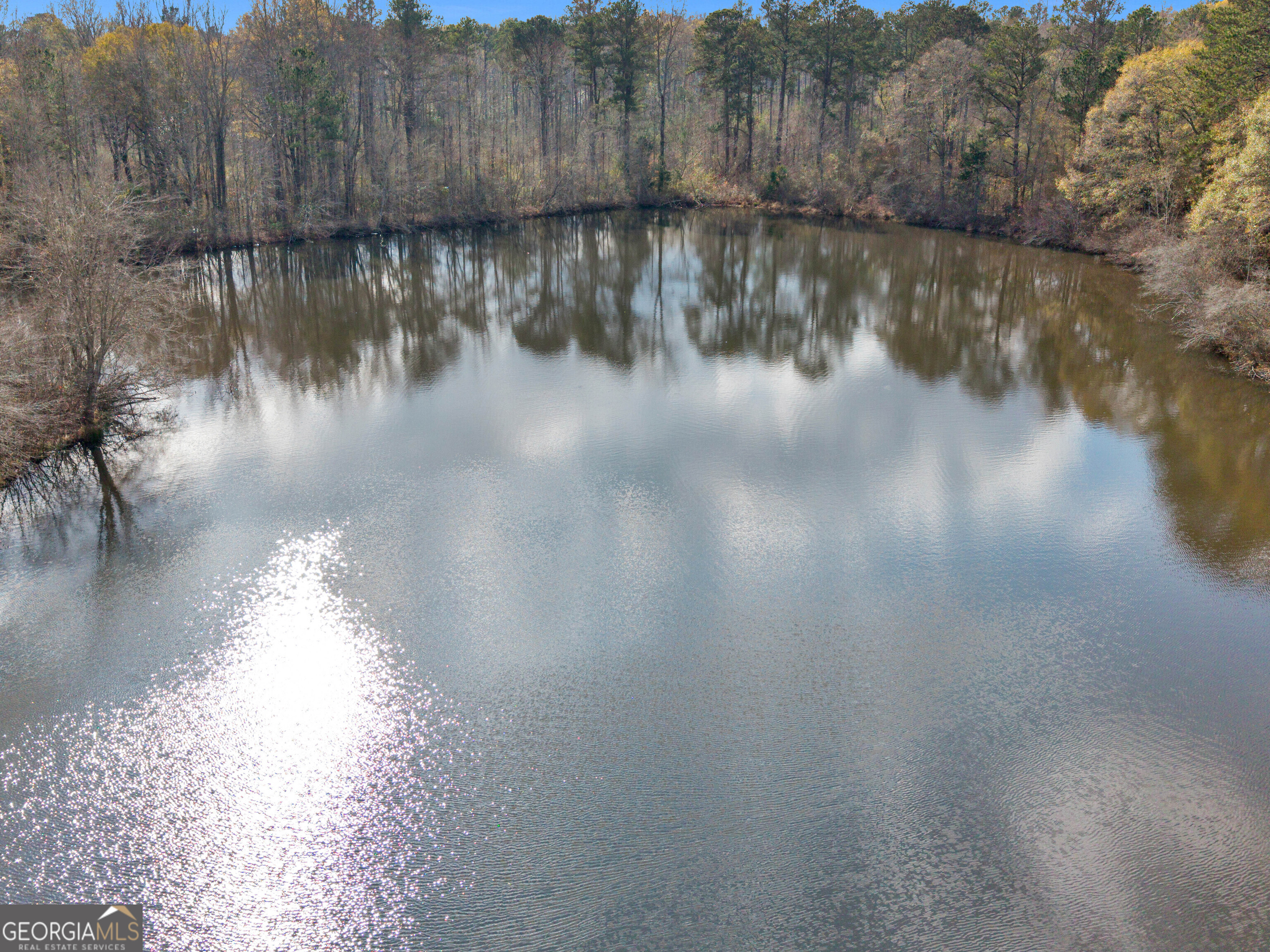 481 Turner Road Concord, GA 30206 - Photo 6 of 49